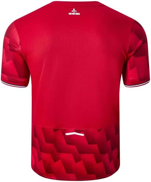 Lille Home  Jersey 2025/26