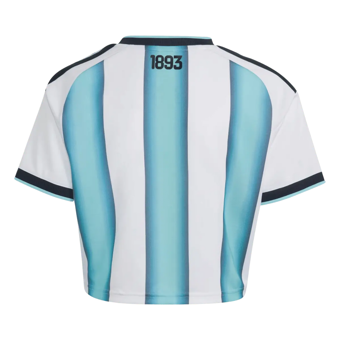 2026 Argentina Crop Top Home Jersey