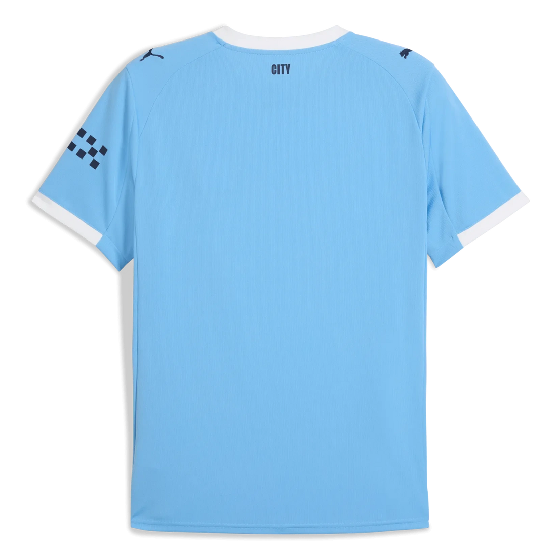 Puma 2025-26 Manchester City Men's Stadium Home Soccer Jersey

Team Light Blue-Puma White